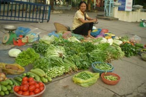 Nhiều mặt hàng như bắp cải, cà rốt, cà chua đã được nhập khẩu ồ ạt từ Trung Quốc vào Việt Nam 
